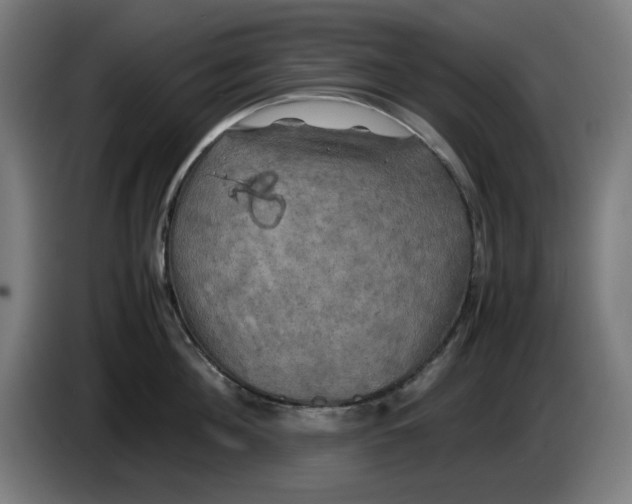 X0000085270908200703301851