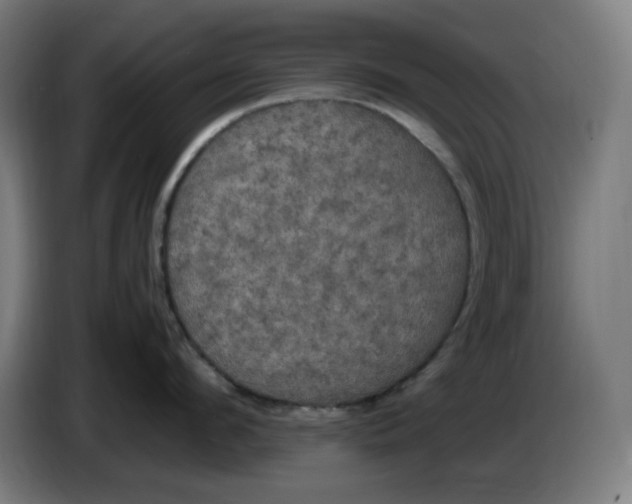 X0000085270912200703301851