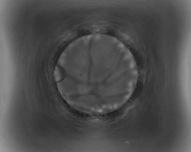 X0000085270913200703301851