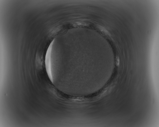 X0000085270915200703301851