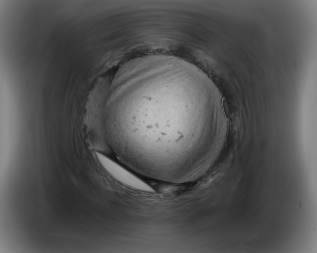 X0000085270916200703301851