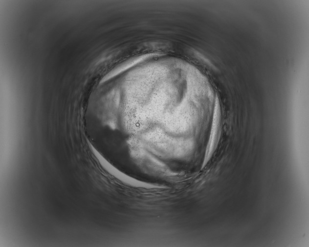 X0000085270917200703301851