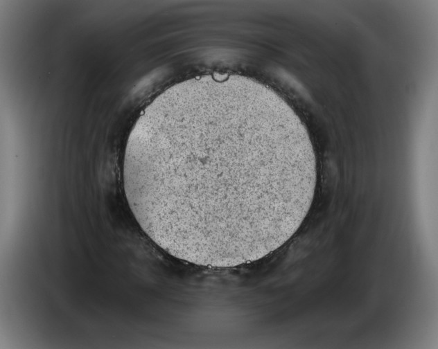 X0000085270918200703301851