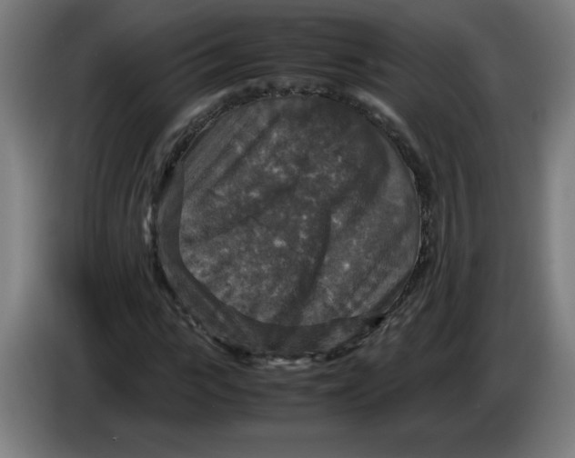 X0000085270919200703301851