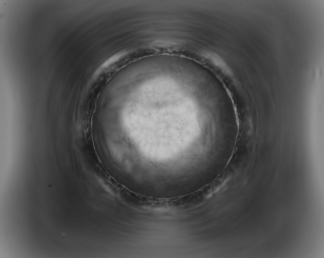 X0000085270920200703301851