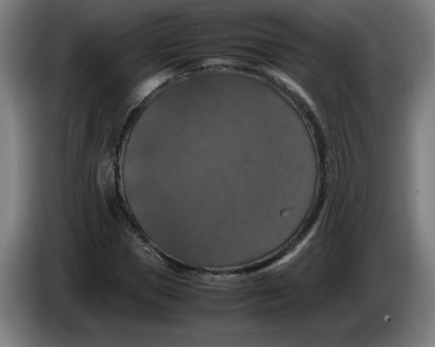 X0000085270921200703301851