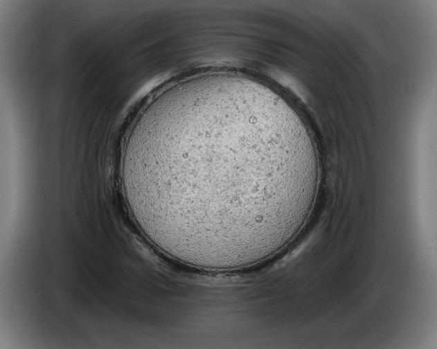 X0000085270922200703301851