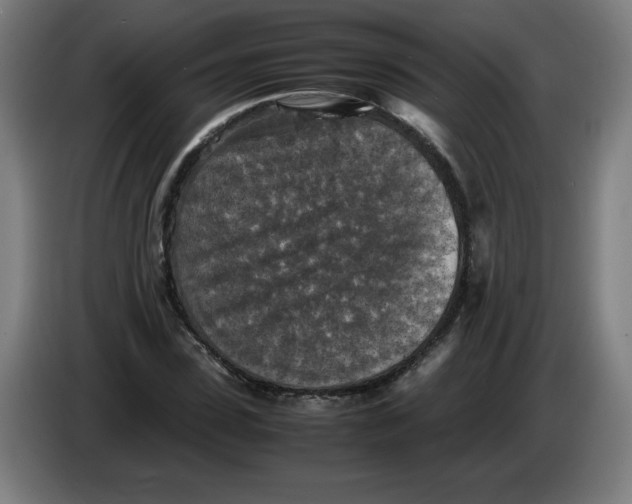 X0000085270923200703301851