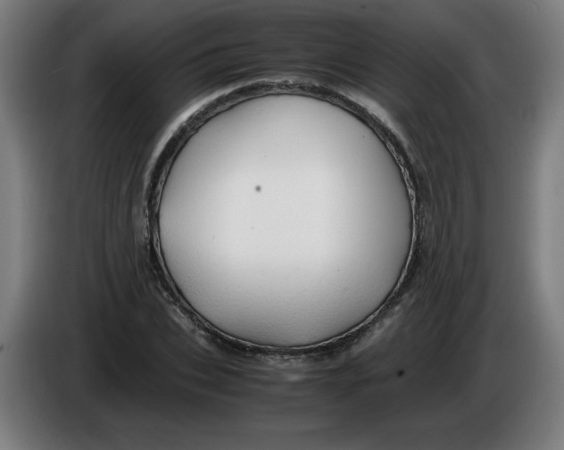 X0000085270927200703301851