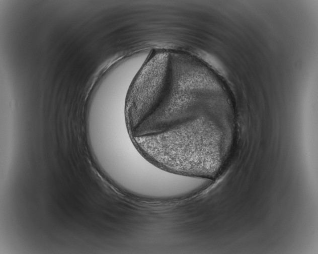 X0000085270930200703301851