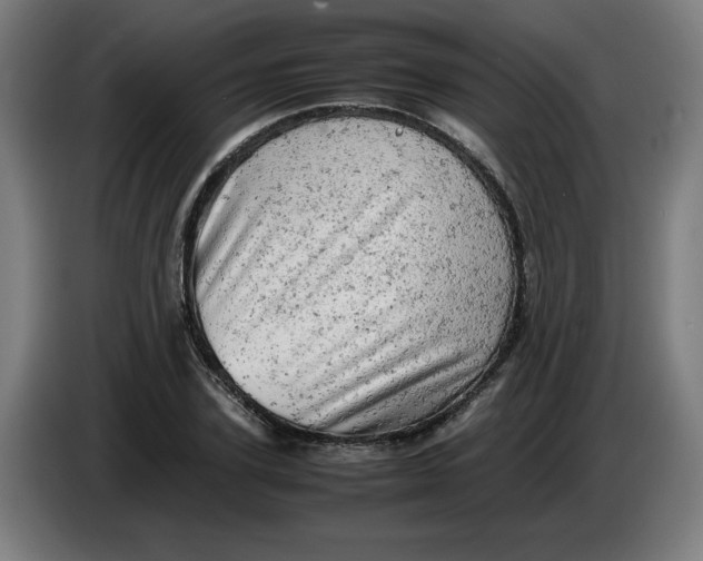 X0000085270931200703301851