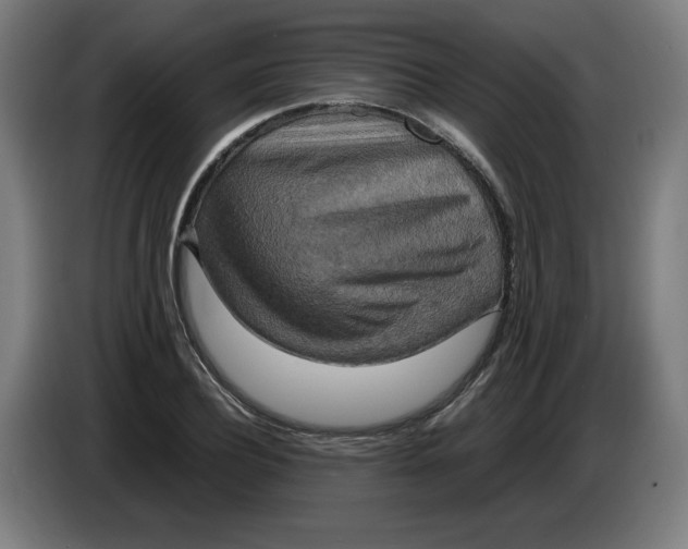 X0000085270932200703301851