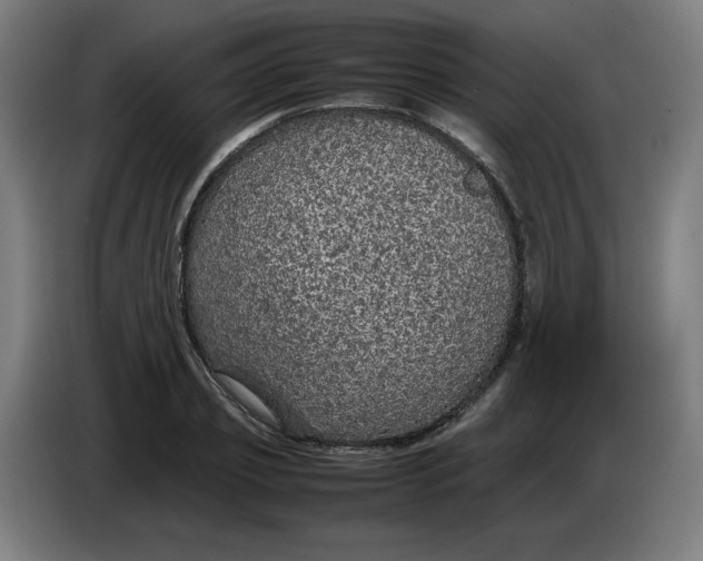 X0000085270933200703301851