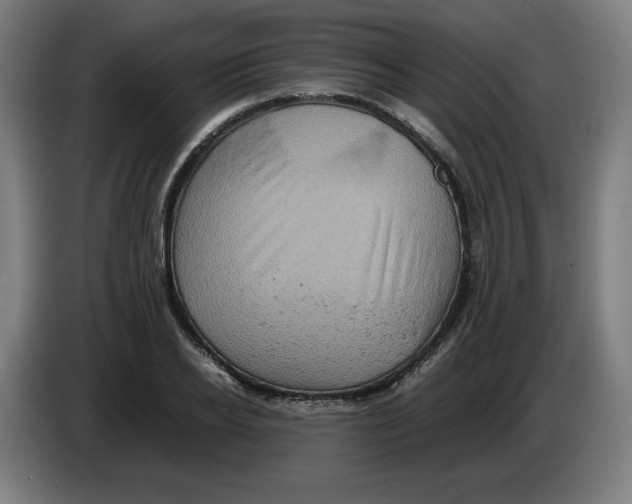 X0000085270934200703301851