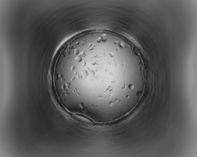 X0000085270936200703301851