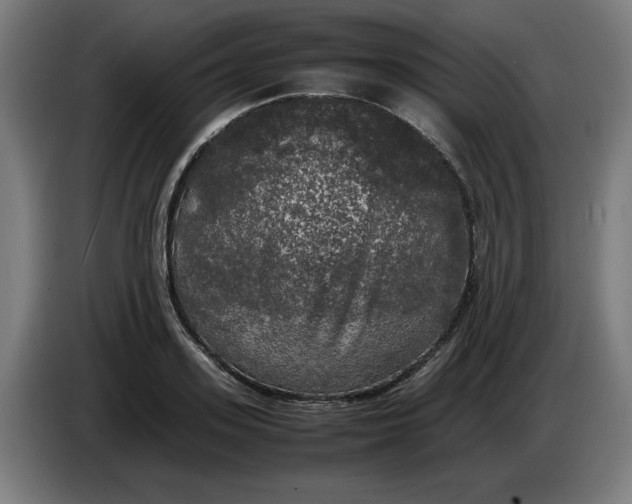 X0000085270939200703301851