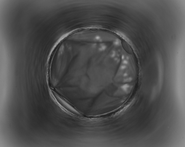 X0000085270941200703301851