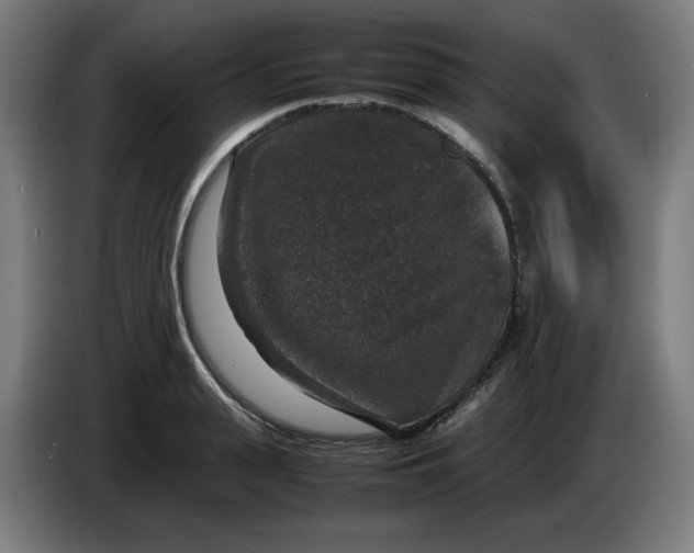 X0000085270943200703301851