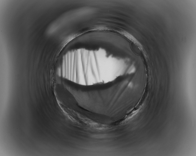 X0000085270945200703301851