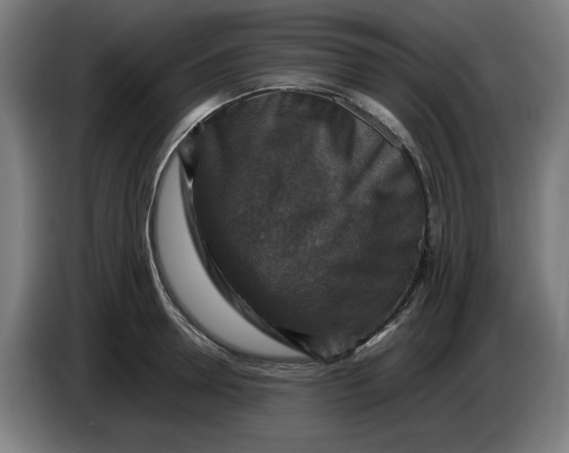 X0000085270946200703301851