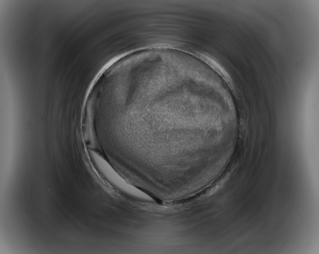 X0000085270948200703301851