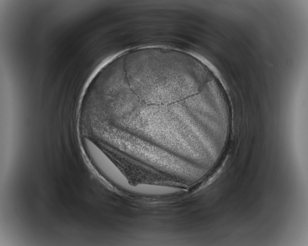 X0000085270949200703301851