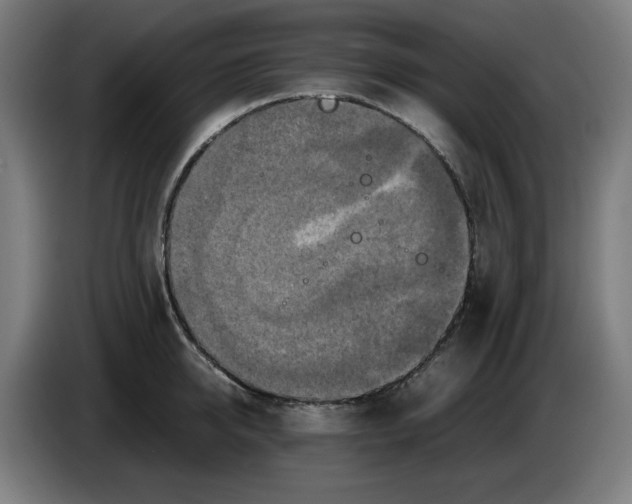 X0000085270950200703301851