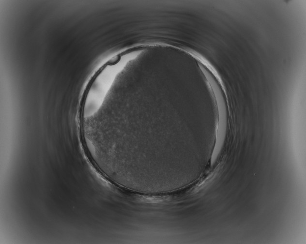 X0000085270951200703301851