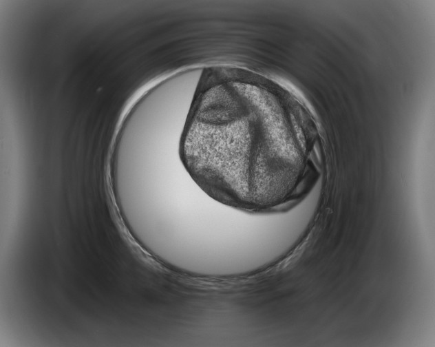 X0000085270952200703301851