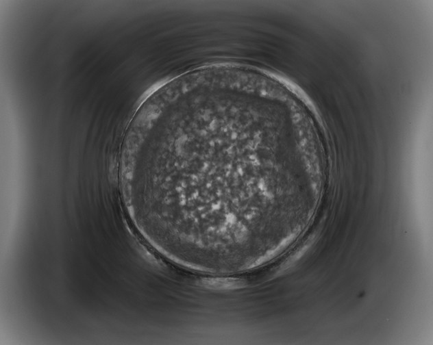 X0000085270953200703301851