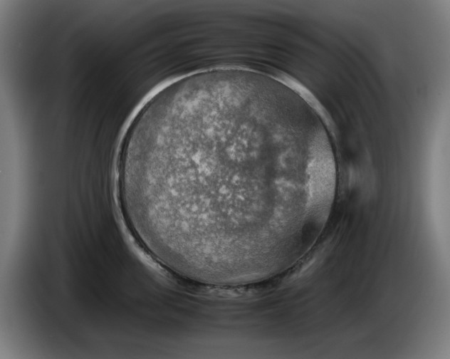 X0000085270955200703301851