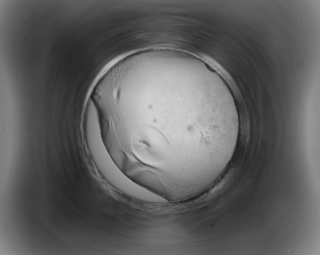 X0000085270956200703301851