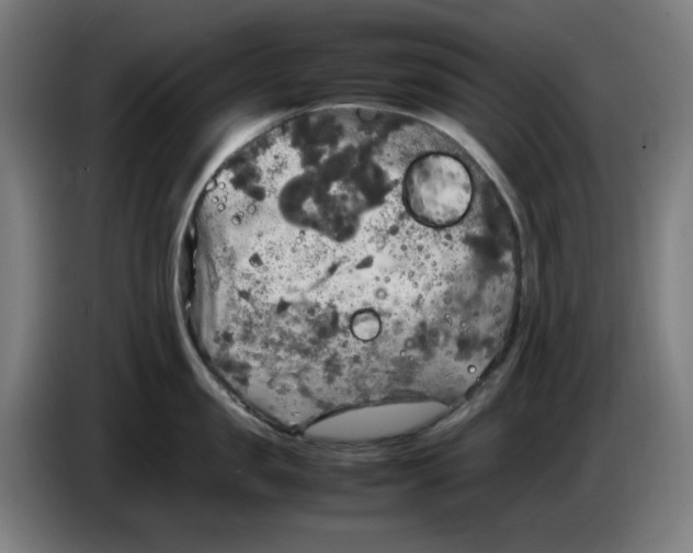 X0000085270957200703301851