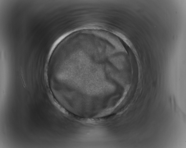 X0000085270960200703301851