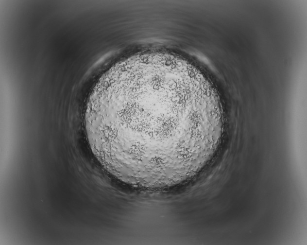 X0000085270967200703301851