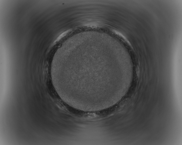 X0000085270968200703301851