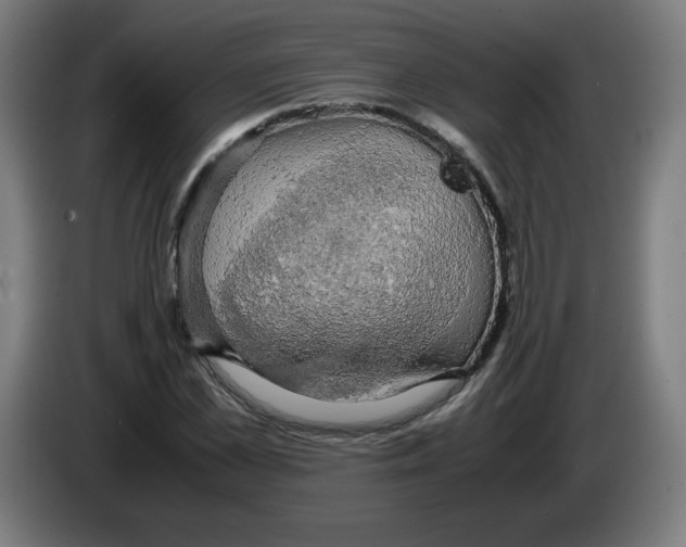 X0000085270973200703301851