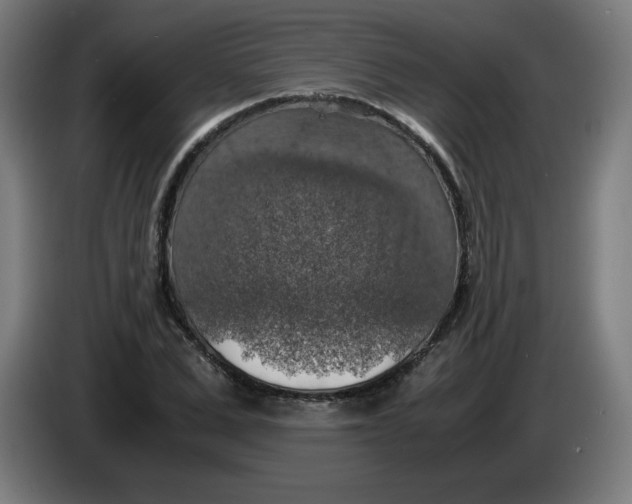 X0000085270975200703301850