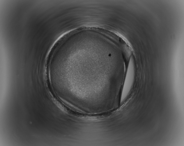 X0000085270976200703301850