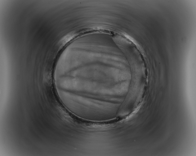 X0000085270977200703301850