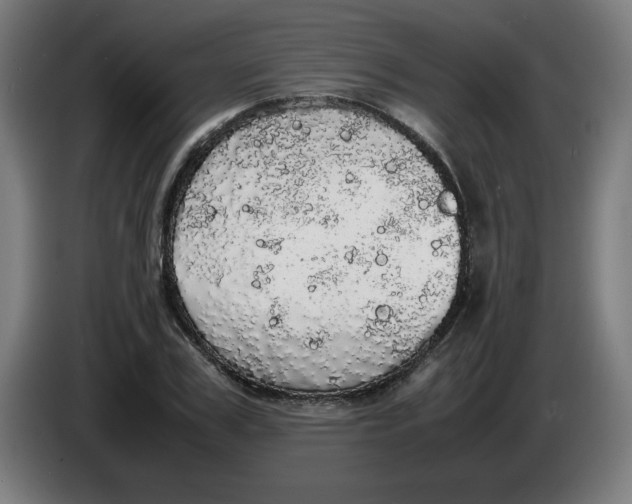 X0000085270979200703301850