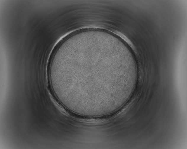 X0000085270980200703301850