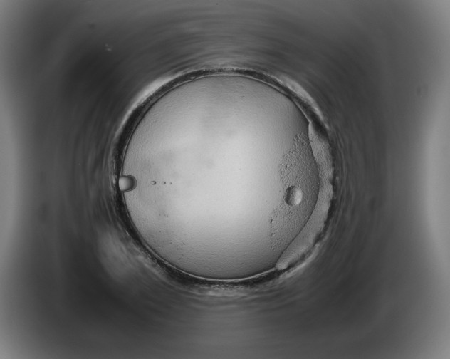 X0000085270981200703301850