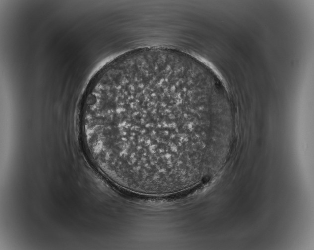 X0000085270983200703301850