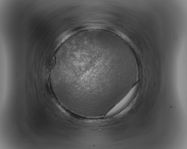 X0000085270985200703301850