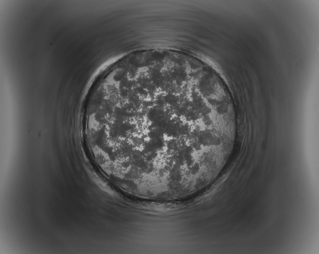 X0000085270987200703301850