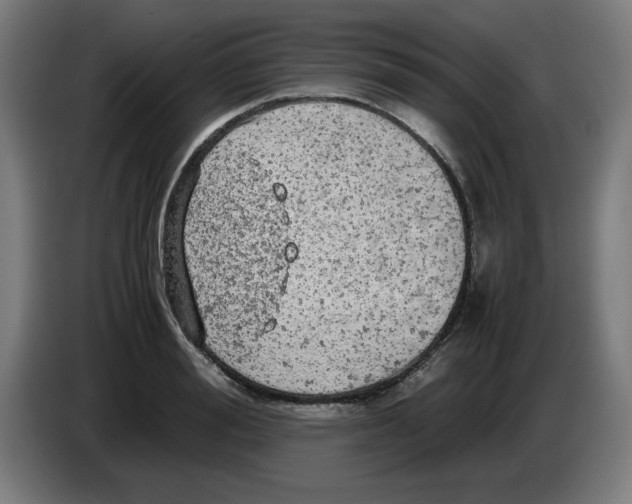 X0000085270988200703301850