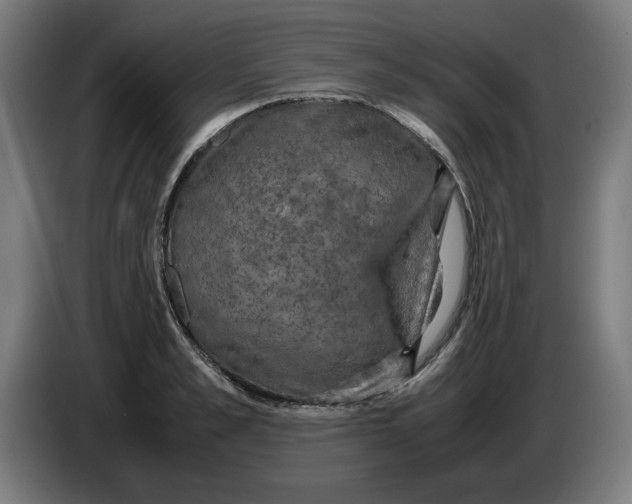 X0000085270989200703301850