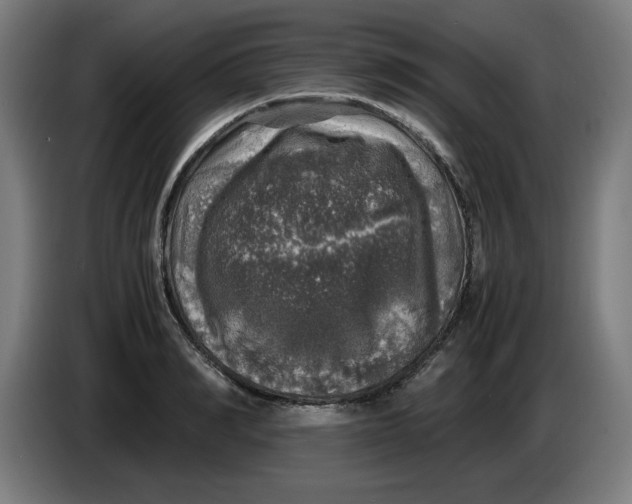 X0000085270990200703301850