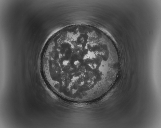 X0000085270991200703301850